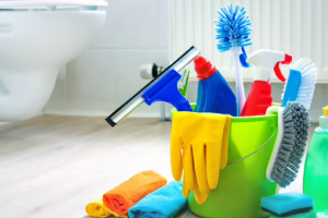 Messie Reinigung Freiberg